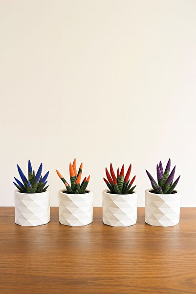 Lea Concept Fluo 4'lü Mini Sukulent Seti - El Yapımı - Beyaz - Bitkisiz
