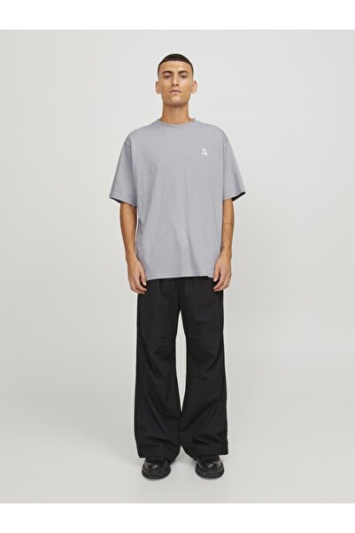 Jack & Jones Jack&Jones Regular Fit Gri Erkek T-Shirt 12253435