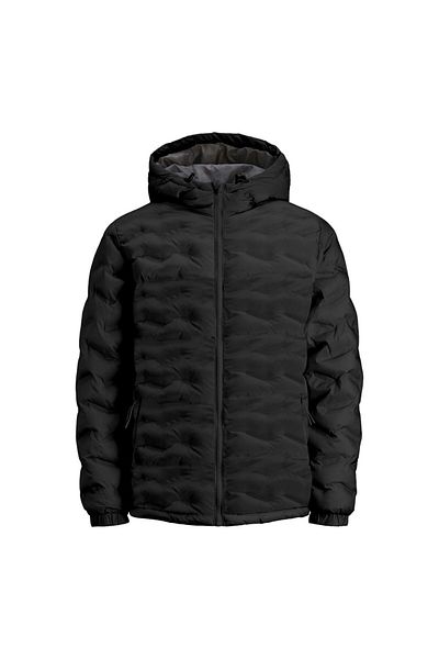 Jack & Jones Jcowın Men's down Jacket 12250429