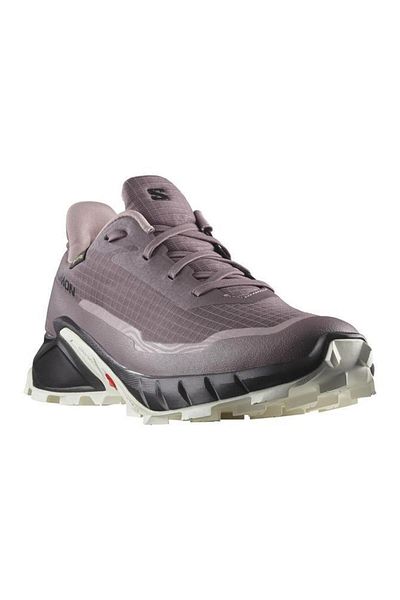 Salomon Alphacross 5 Gore-Tex W Women's Purple Outdoor Shoes L 47311000