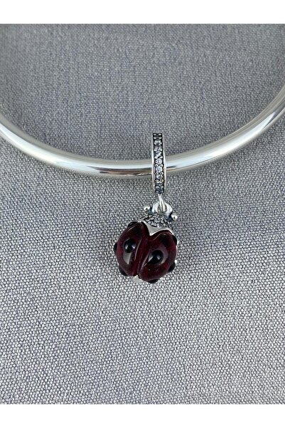 My Story Uğur Böceği Sallantılı Charm