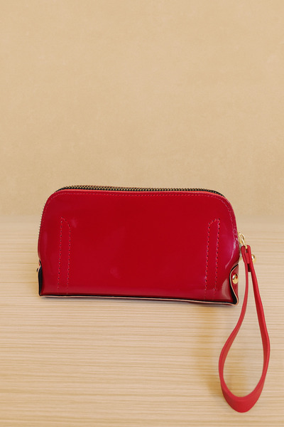 lizy's Wallet Portfolio & Clutch Makeup Bag