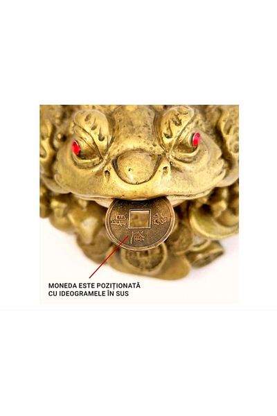 BLA BLA FOAM Large Feng Shui Frog, Money Amulet with Chinese Coins