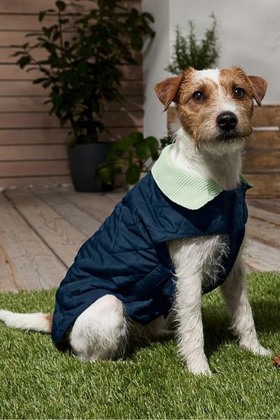 Tchibo Padded Vest Lift Dog Jacket, Pale Blue