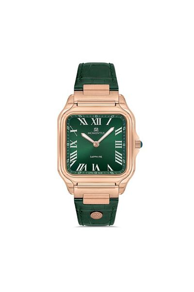 Momentus Men's Wrist Watch S.Em348R-15Yr