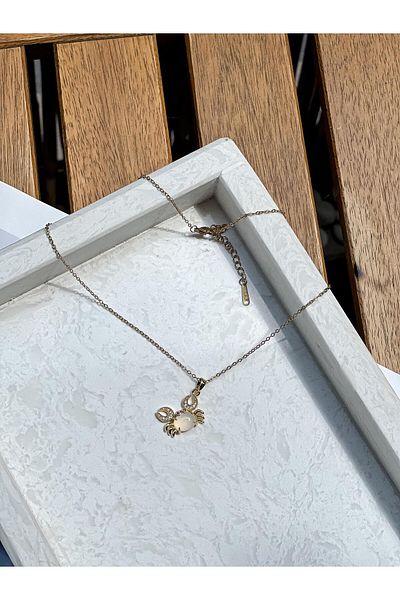 İLKYAZ Accessories Crab Zircon Stone Minimal Steel Necklace