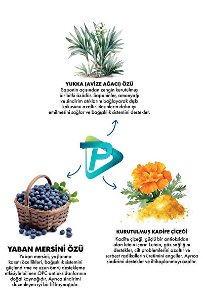 Pro Performance Ultra Premium Adult Medium Ve Large Kuzulu Köpek Maması 12 Kg