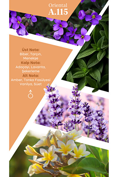 Mad Parfüm Mad A115 Selective 100 ml Erkek Parfüm