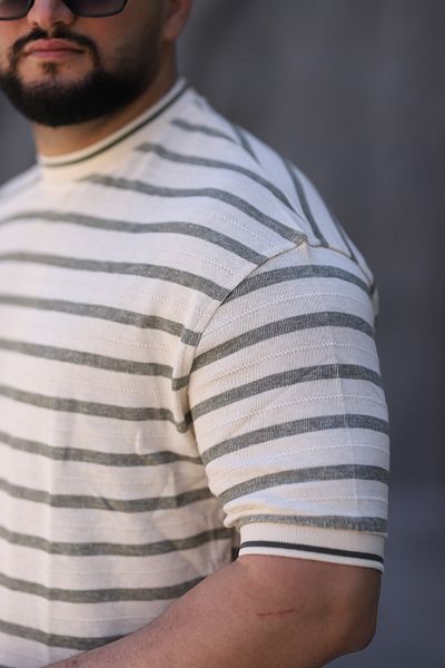 Ramires Men's Striped Crew Neck T-Shirt