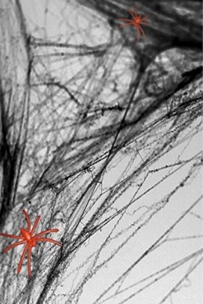 BeySüS Halloween Cadılar Bayramı Siyah Renk Örümcek Ağı Seti