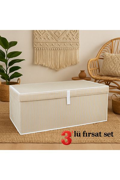 CARO HOME 3-Piece Opportunity Set 70X40X30 cm Megaplus Organizer / Bucket Crate with Lid