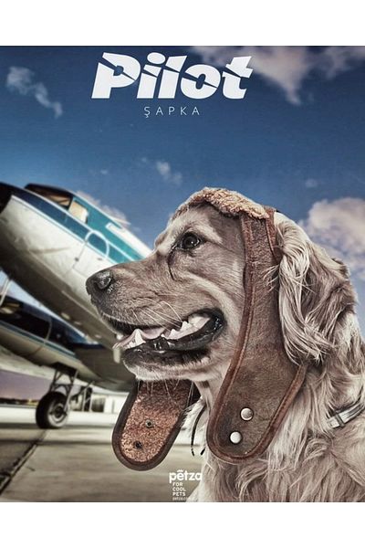 Petza Small Medium And Large Breed Dog Hat Pilot Coffee