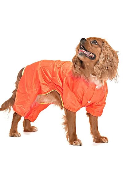 Petza Small and Medium Breed Dog Leg Raincoat - Puka Orange