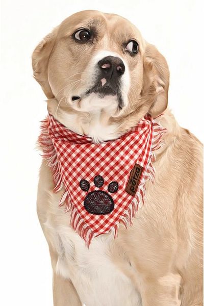 Petza Dog Bandana / Tore