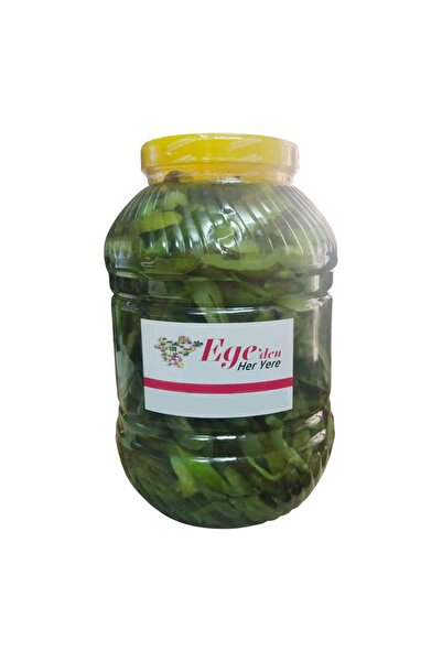 EgedenHerYere Ev Yapımı Kornişon Salatalık Turşusu Jüliyen Kesim 3 Kg.