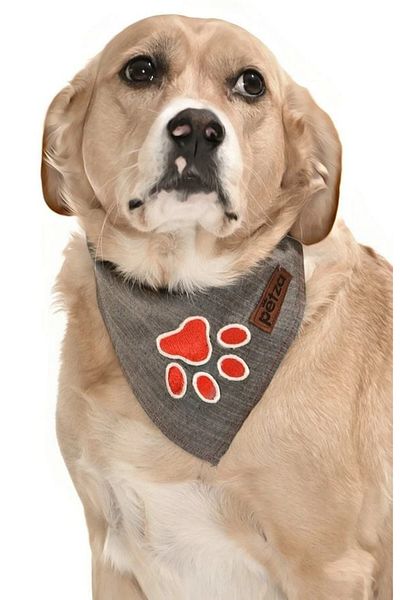 Petza Dog Bandana / Alke
