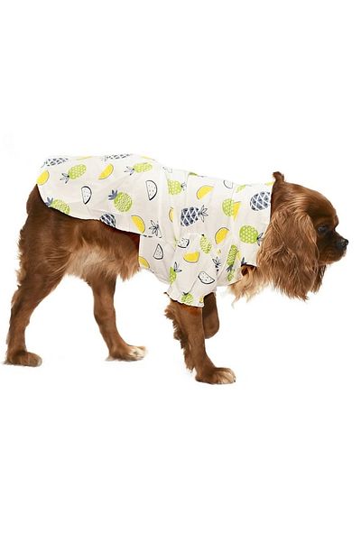 Petza Small and Medium Breed Dog Shirt Noora - Dog Clothes