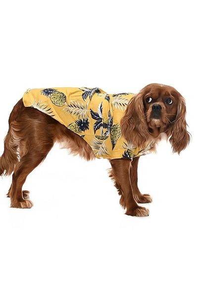 Petza Small and Medium Breed Dog Shirt Miika - Dog Clothes
