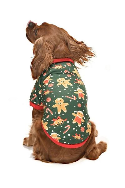 Petza Small and Medium Breed Dog Sweater - Limba