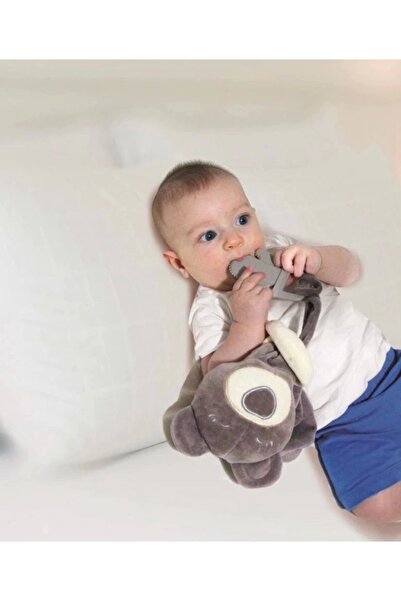 Babyjem Diş Kaşıyıcılı Uykucu Ayıcık 680 Gri