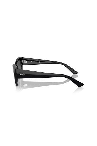 Ray-Ban Sunglasses Rb4430 52 667787