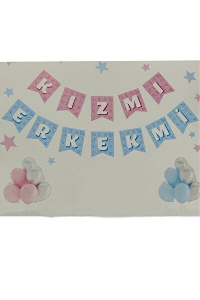 BeySüS Kızmı Erkekmi Flama 5 Pembe 5 Mavi Makaron Balon Set