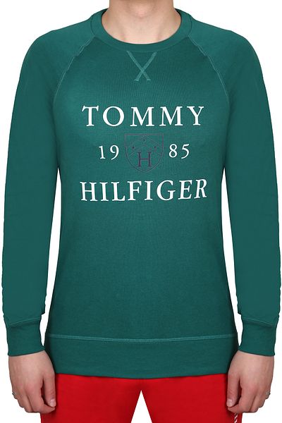 Tommy Hilfiger Men'sSweatshirt- 09t4201-301 Model