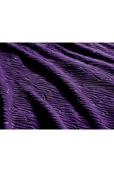 Soft Kare Welsoft Polar Emboss Double Blanket - Purple