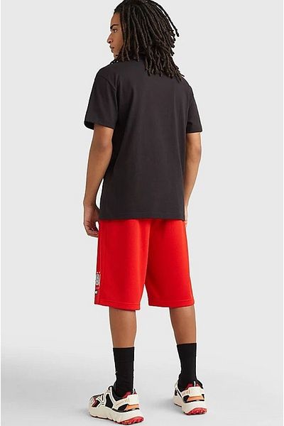 Tommy Hilfiger Tommy Hilfiger Men's T-shirt Dm0dm16406-bds