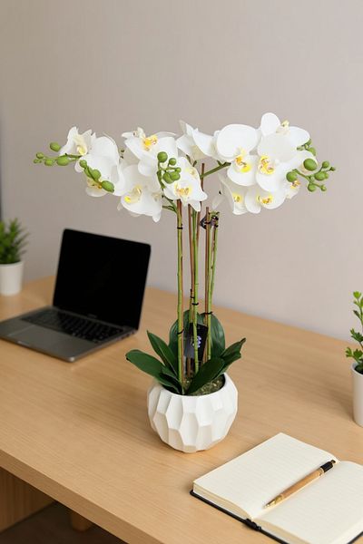 Living Artificial white orchid flowers, natural look, multiple branches, white pot, height 85 cm