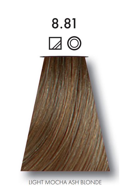 Keune 2 Packs of Keune (Tinta) Color No. 8.81 Light Ash Blonde Mocha Hair Dye with Silk Protein
