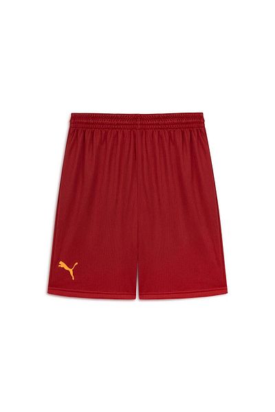 Puma Galatasaray Training Shorts