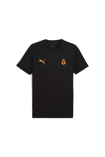 Puma Galatasaray Ftblessentials Men's T-Shirt