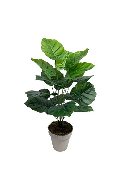 ŞA-DAL STORE Yapay Difenbahya Ağacı 80 cm 18 Yapraklı