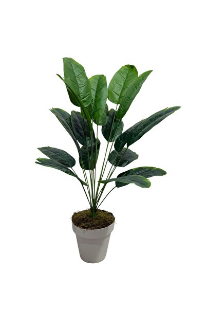 ŞA-DAL STORE Yapay Starliçe Ağacı 18 Yapraklı 80 Cm