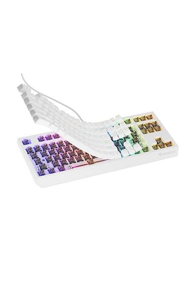 Genesis Thor 230 TKL wired mechanical gaming keyboard, RGB lighting, Brown switches, 87 keys