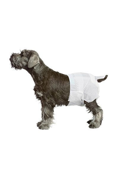 Pawise Dişi Köpek Alt Bağlama Bezi Beyaz L Boy 12 Adet