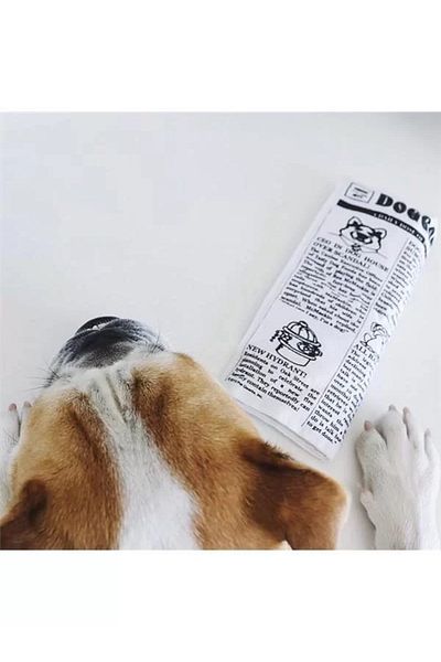 Petmate Squeaky Newspaper Dog Toy