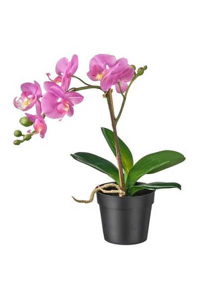 IKEA Artificial plant in pot, purple orchid, 15 x 30 cm