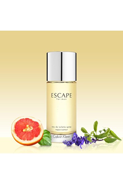 Calvin Klein Escape Eau de Toilette for Men, 50 ml