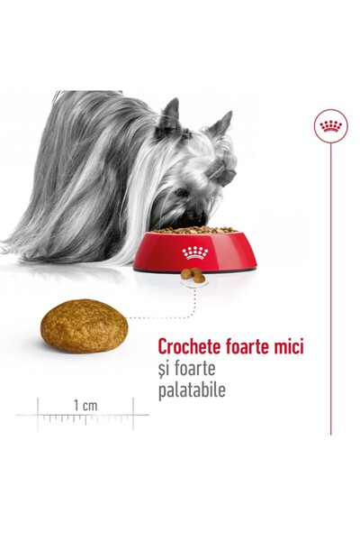 Royal Canin Royal Canin X-Small Adult dry food for very small dogs 3 kg