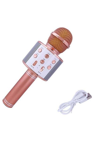 N2Y KTV Wireless Karaoke Microphone Ws858 XD77502 Gold Pink/White