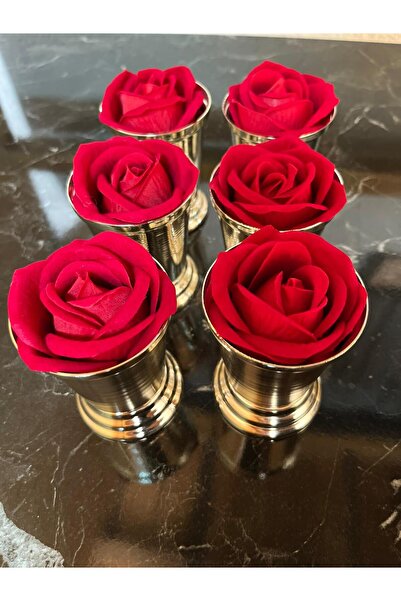 Elk Home Silver Coated 6 Piece Rose Bucket Including Red Velvet Roses
