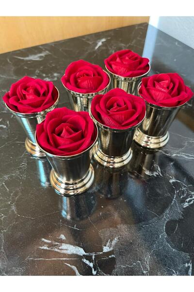 Elk Home Silver Coated 6 Piece Rose Bucket Including Red Velvet Roses