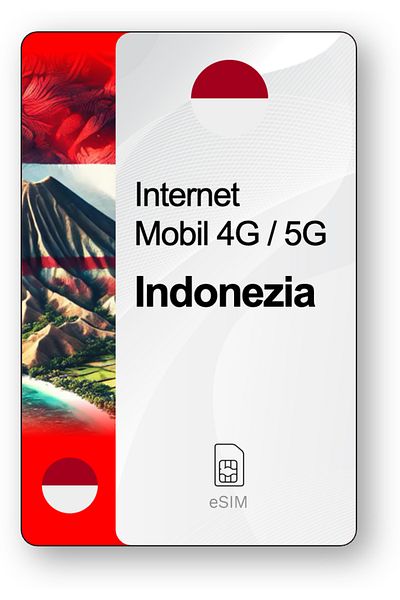 netSIM eSIM Internet Indonesia, valid for 30 days, 100 GB traffic, Standard