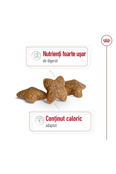 Royal Canin Hrană uscată Royal Canin Mini Adult S, 2 kg, pentru câini adulți de talie mică