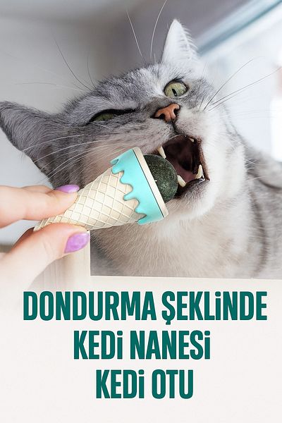 Yenilig Ice Cream Shaped Cat Mint Cat Grass Toy