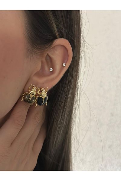 MyladyAccessoriess Lucky Beetle Minimal Steel Earrings Brown
