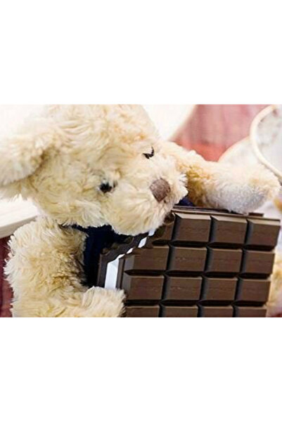 ForWhat دفتر ملاحظات على شكل شوكولاتة هدية للمكتب المنزلي