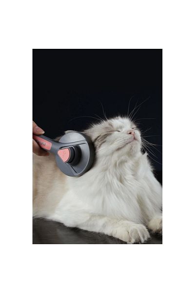 ForWhat Self Cleaning Comb with Automatic Keys for Bureau Home Office Pet Pet Cat Dog